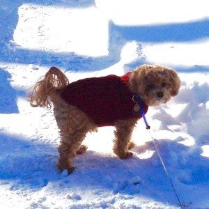 Meet your Posher, Kim